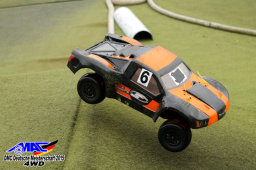 2015 DM 4WD Buggy 4WD Juni